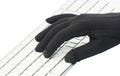 The Writer's Glove - Thin, Warm Gloves for Typing - FREE U.S. SHIPPING - Better than Fingerless Gloves - Endorsed by Raynaud's Association