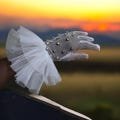 Women's Ruffled Diamond Mesh Gloves