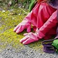 Medieval Three-Finger Gloves for Children ? Wool Split Mittens - Custom-Made - Medieval Accessories - Historical Fashion - LARP Kid Costume