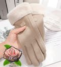 Stylish Womens Winter Suede  Plush Gloves  Warm thick A* quality Lady Touchscreen Driving outdoor  Mittens New 2024