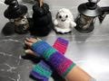 Fingerless gloves